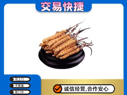 潍坊市寒亭回收冬虫夏草多少钱每克